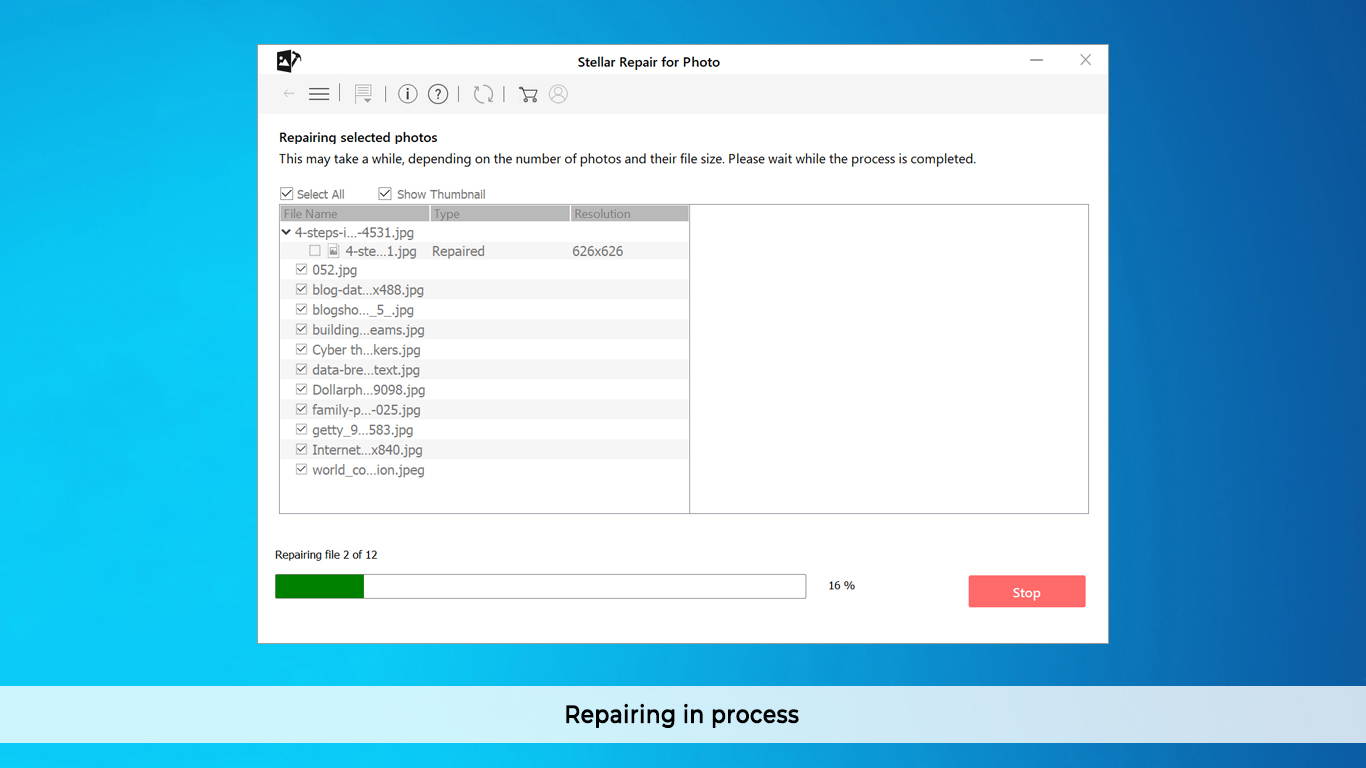 Corel WinZip 24 Standard ML DVD WZ24STDMLDVDAM