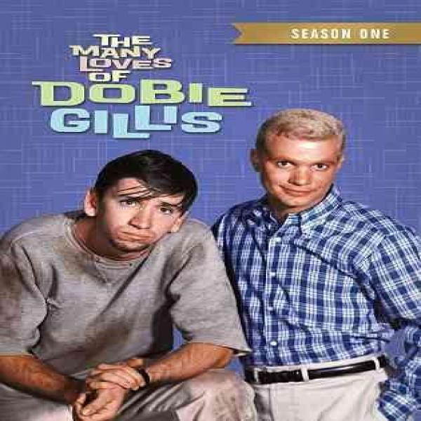 MANY LOVES OF DOBIE GILLIS:SEASON ONE