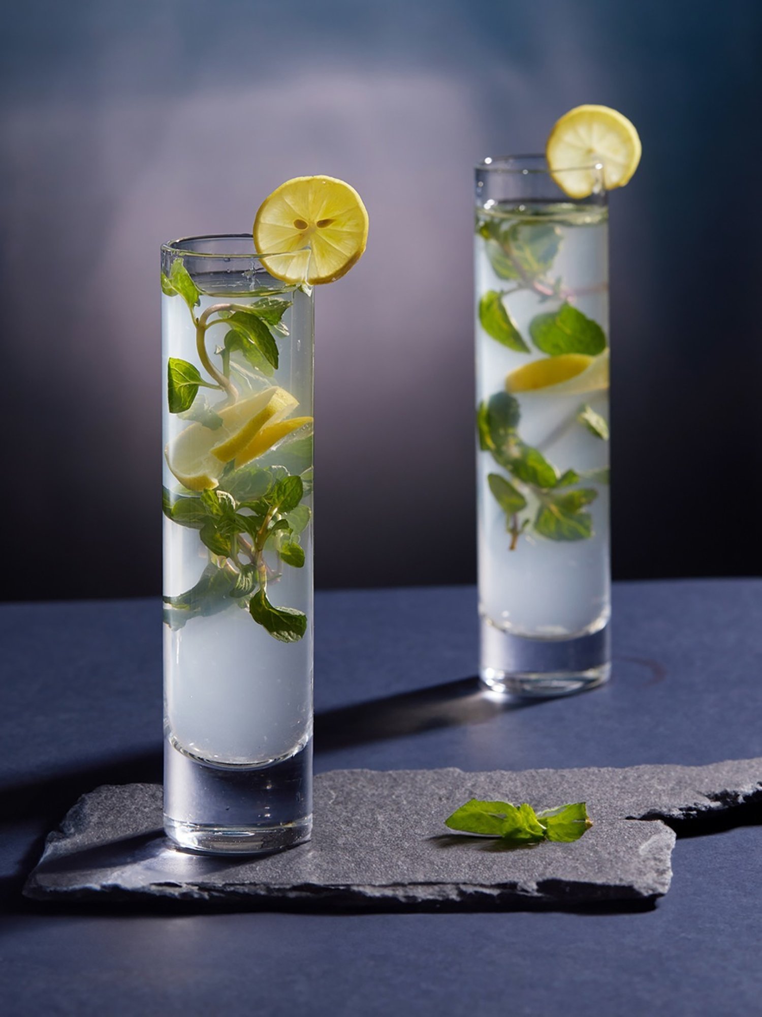 Trovea's Windsor Slim Transparent Glass Highball Glass - Set of 6