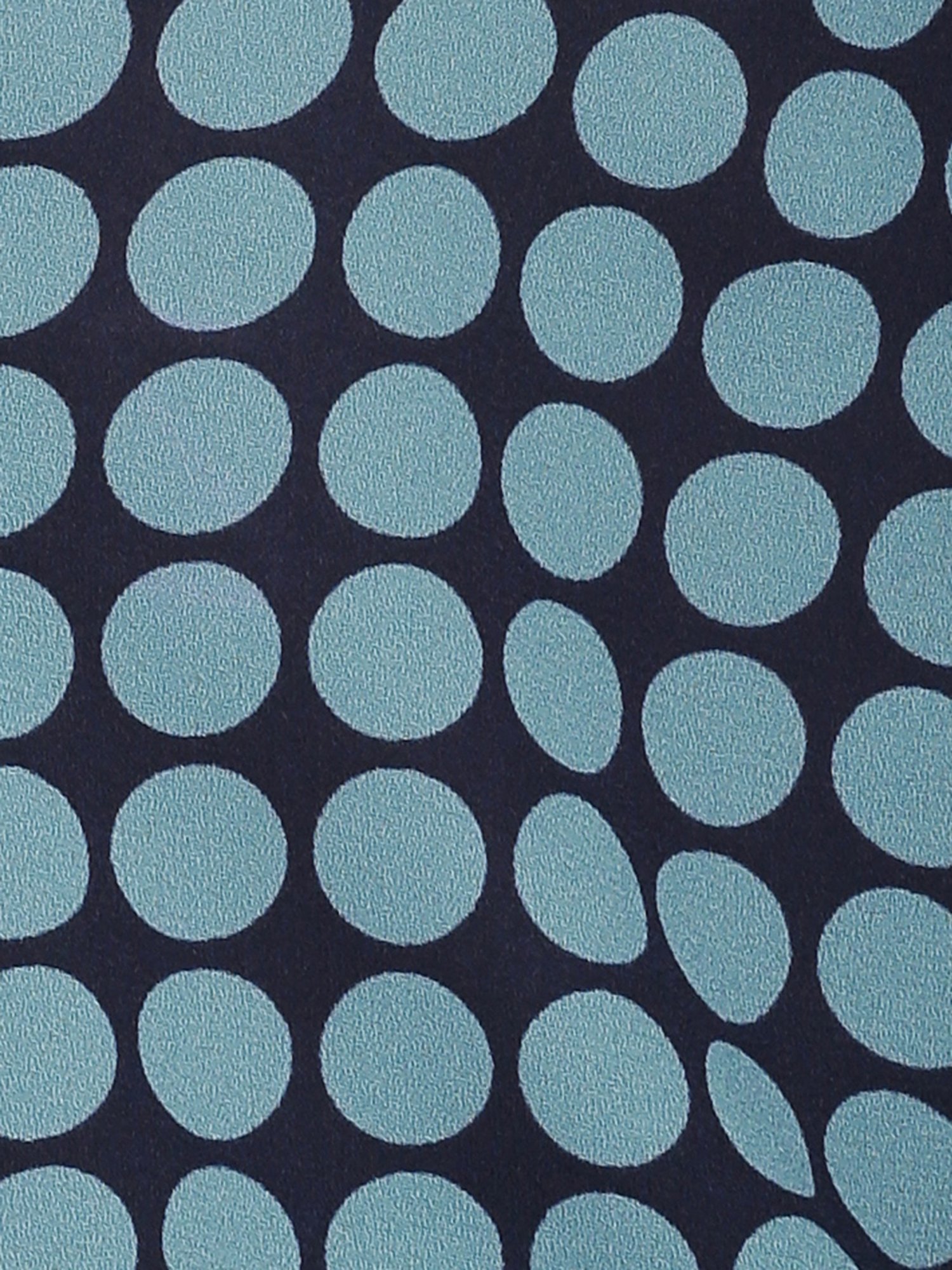 ISU by Radhika Apte Blue Polka Dot Shirt