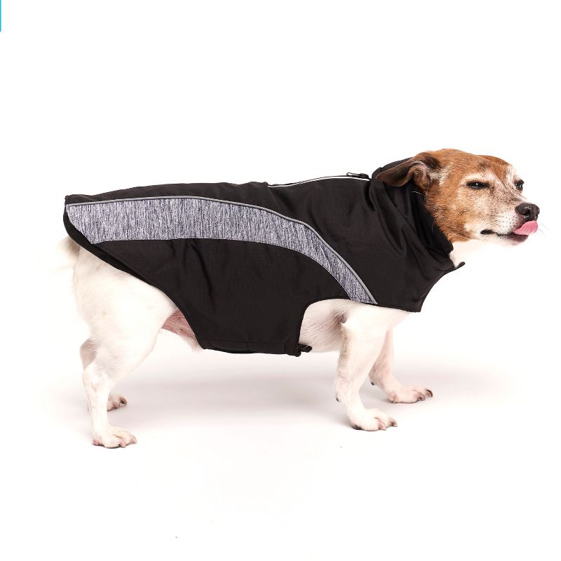 Royal Animals Spacedye Dog and Cat Jacket - Gray - XS