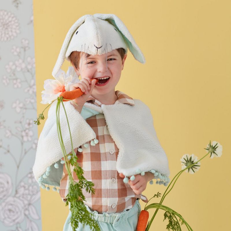 Sherpa Bunny Dress Up Set