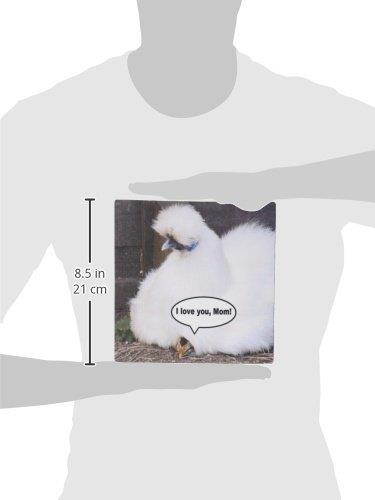 3Drose LLC 8 X 8 X 0.25 Inches Mouse Pad, Cute Chick Says I Love You Mom Funny White Fluffy Feather Chicken Mothers Day Fun Animal Photography (Mp_113042_1)
