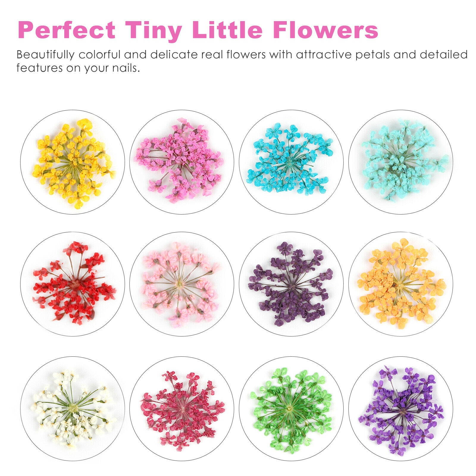 12 Colors Real Dried Flowers 3D Nail Art Decors Design DIY Tips Manicure HOT