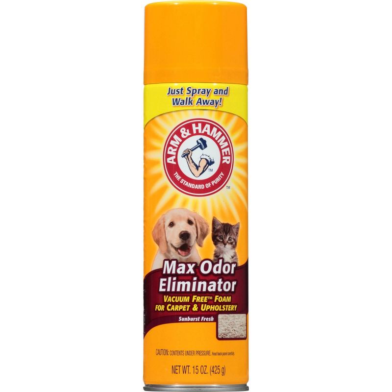 BISSELL 22 floz Oxy Stain Destroyer Pet For Carpet and Upholstery