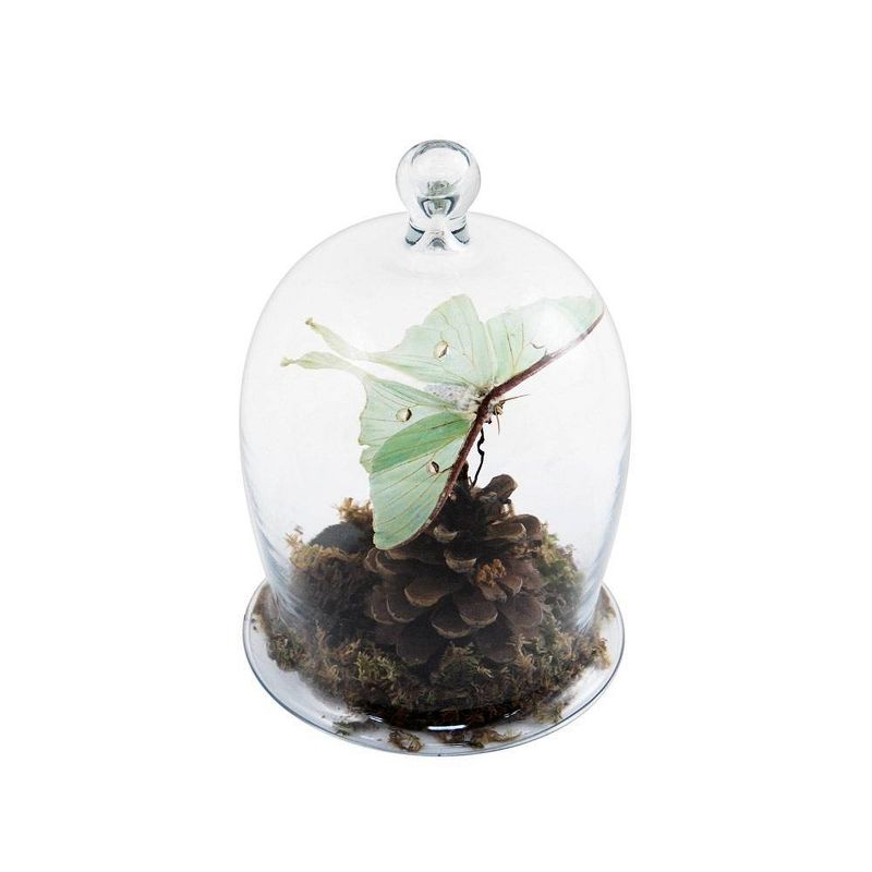 8" Glass Classic Miniature Bell Jar Cloche - ACHLA Designs