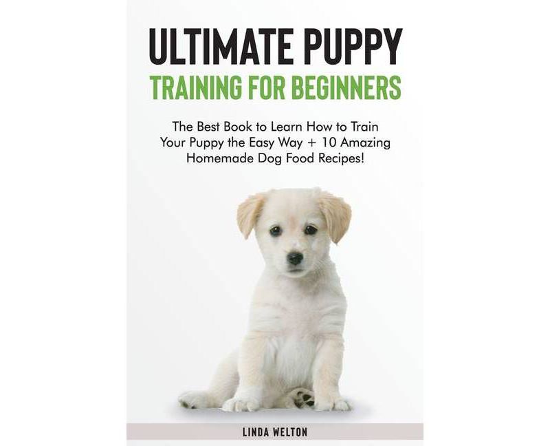 Behold the Personal Maine Coon - by  Phyllis Stiebens (Paperback)