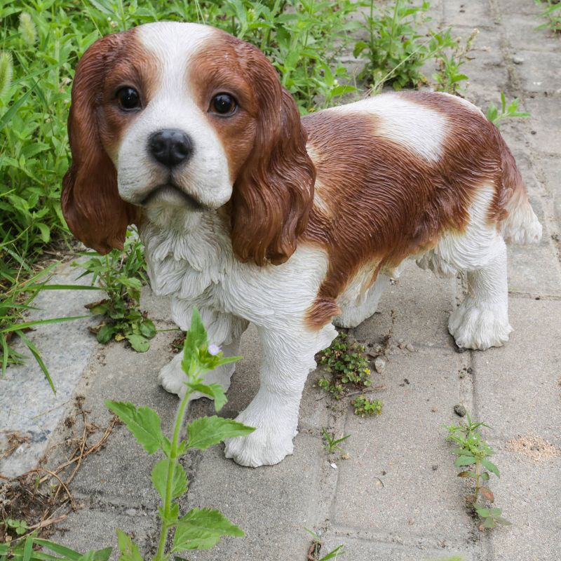 12" Polyresin Standing King Charles Spaniel Statue Brown/White - Hi-Line Gift