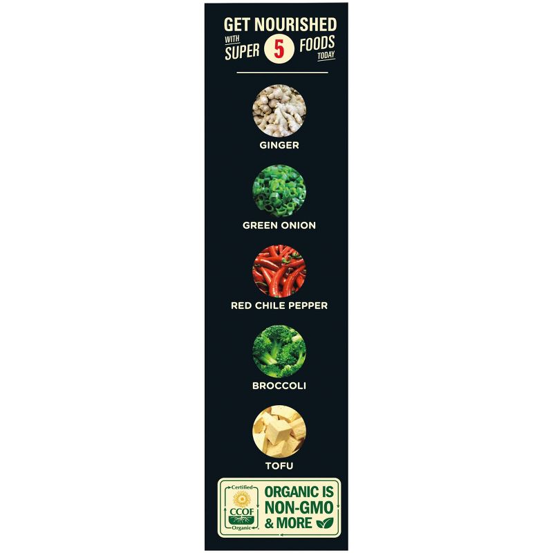 Sweet Earth Natural Foods General Frozen Tso's Tofu - 9oz