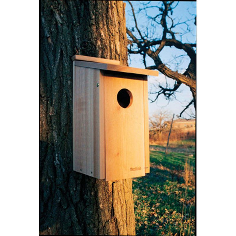Woodlink 24338 Wooden Screech Owl Kestrel Bird House Nesting Box with Wood Shavings