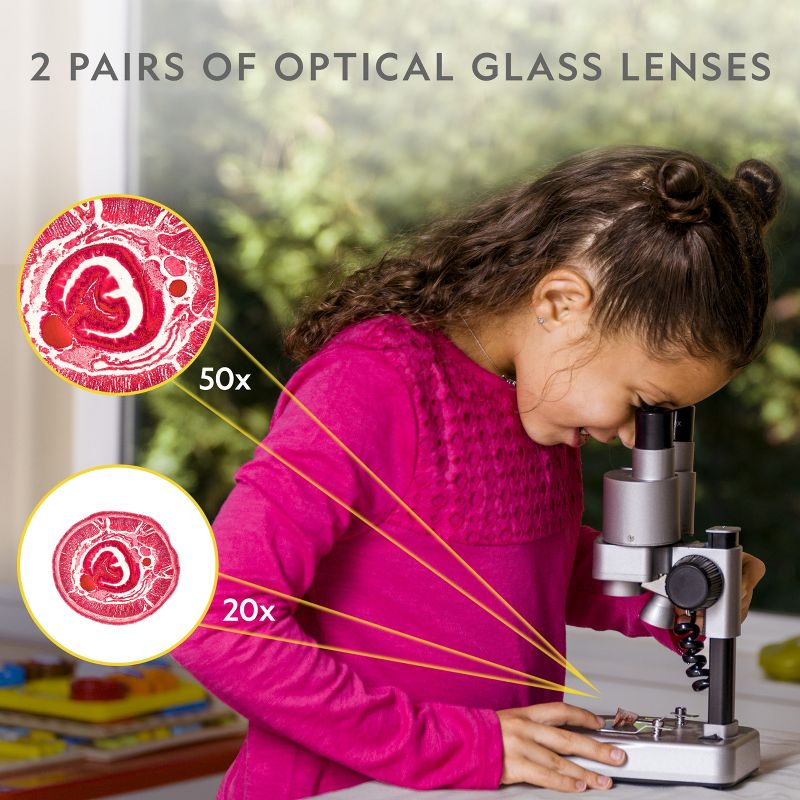 Teacher Created Resources Power Pen Learning Cards, Division, Grades 3 to 5