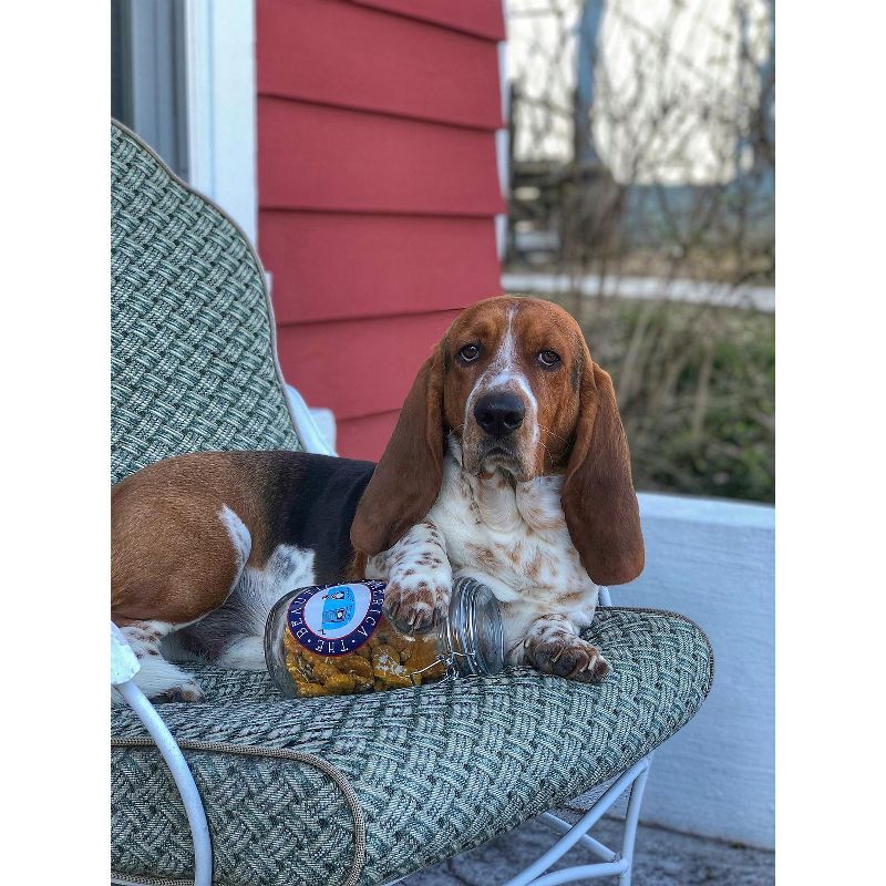 Amici Home 50 oz Single Container America the Beautiful Glass Storage Canister Clear with Decal