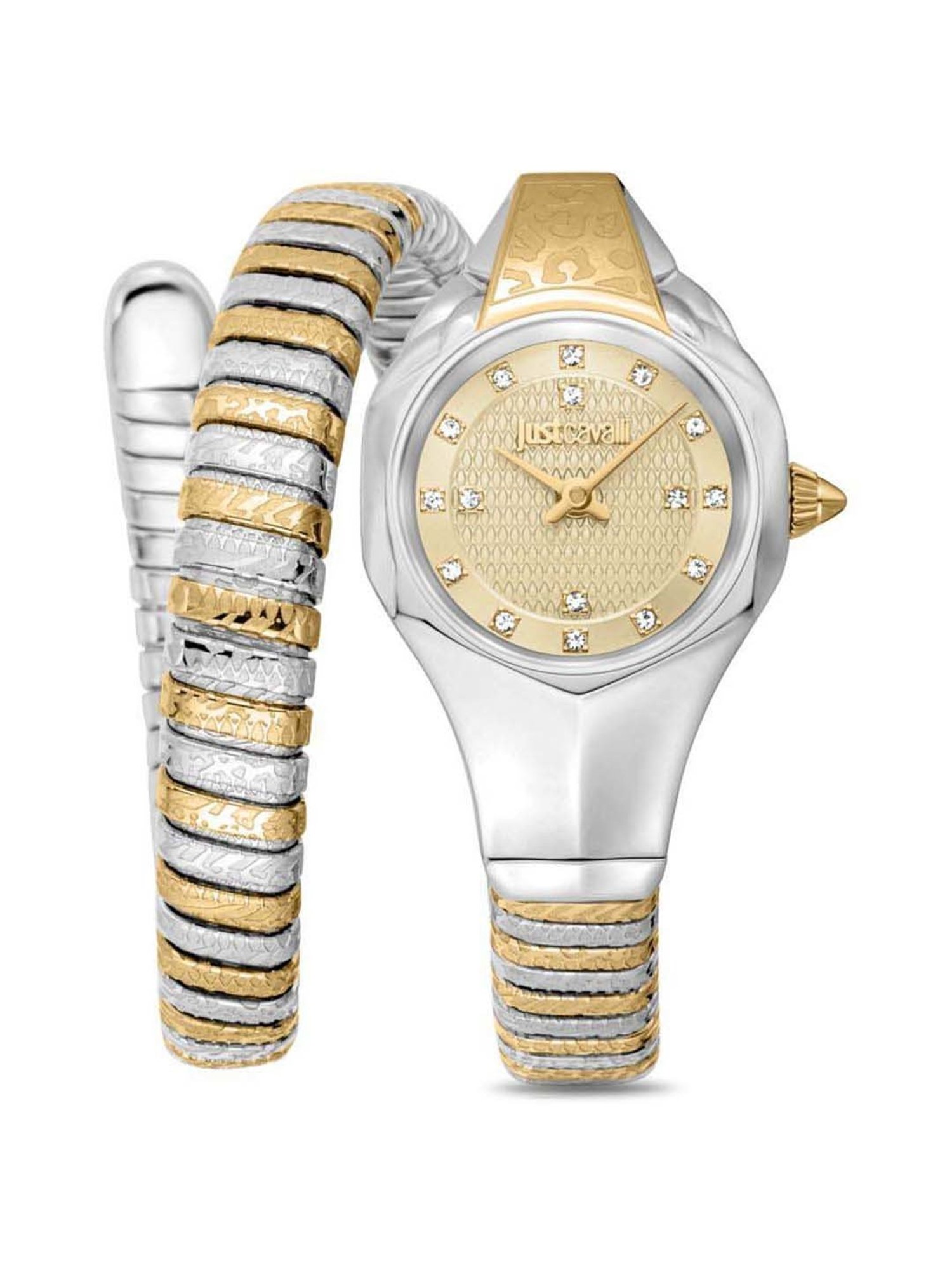 Just Cavalli Amalfi JC1L270M0055 Analog Watch for Women