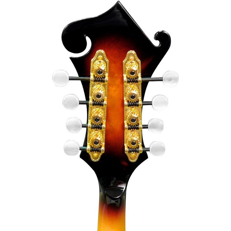 Gold Tone GM-70+ F-Style Mandolin Tobacco Sunburst