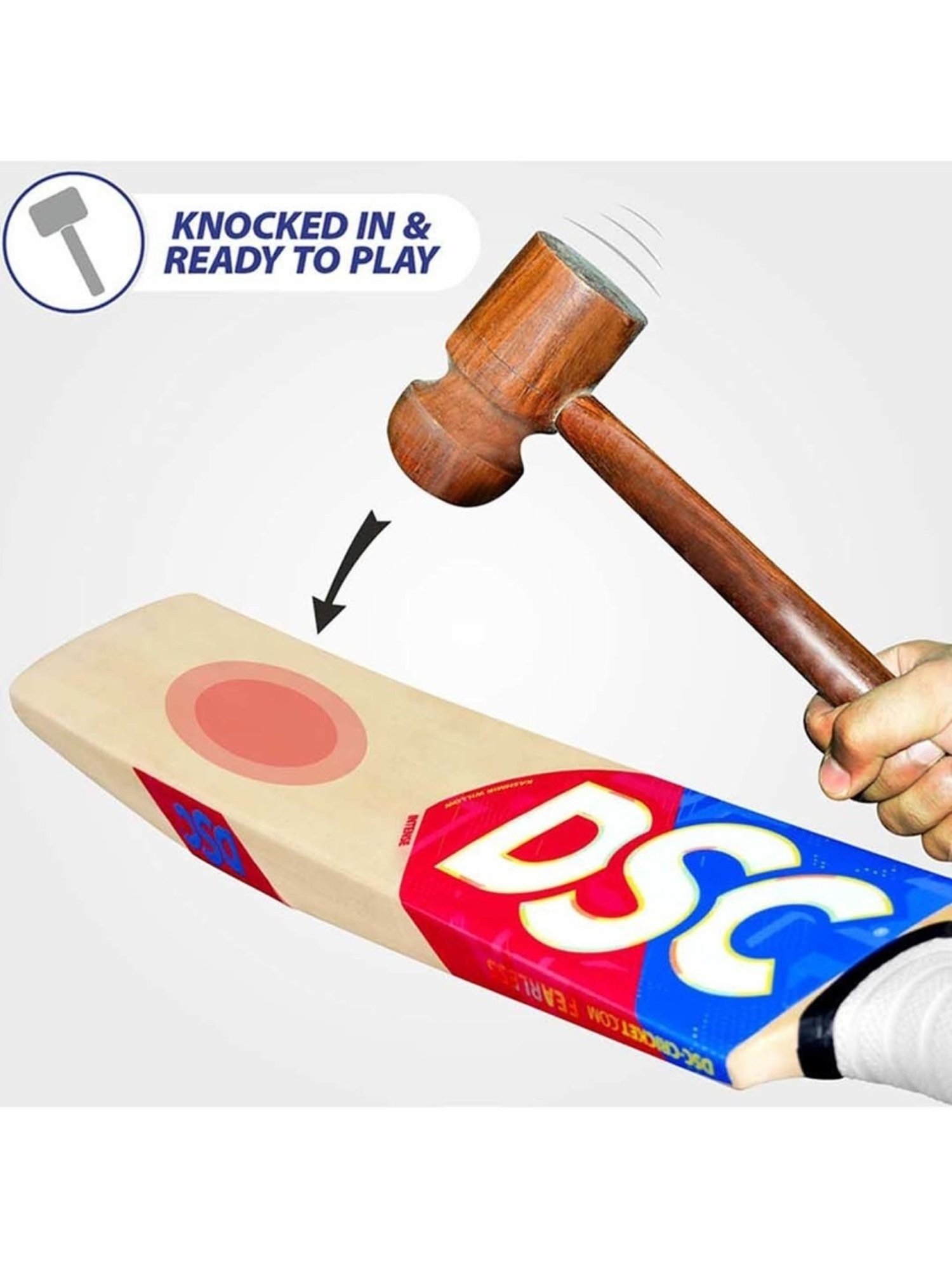 DSC Intense Spirit Kashmir Willow Cricket Bat Size - 4