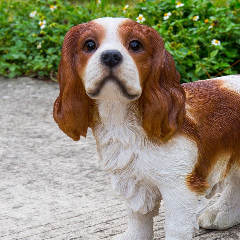 12" Polyresin Standing King Charles Spaniel Statue Brown/White - Hi-Line Gift