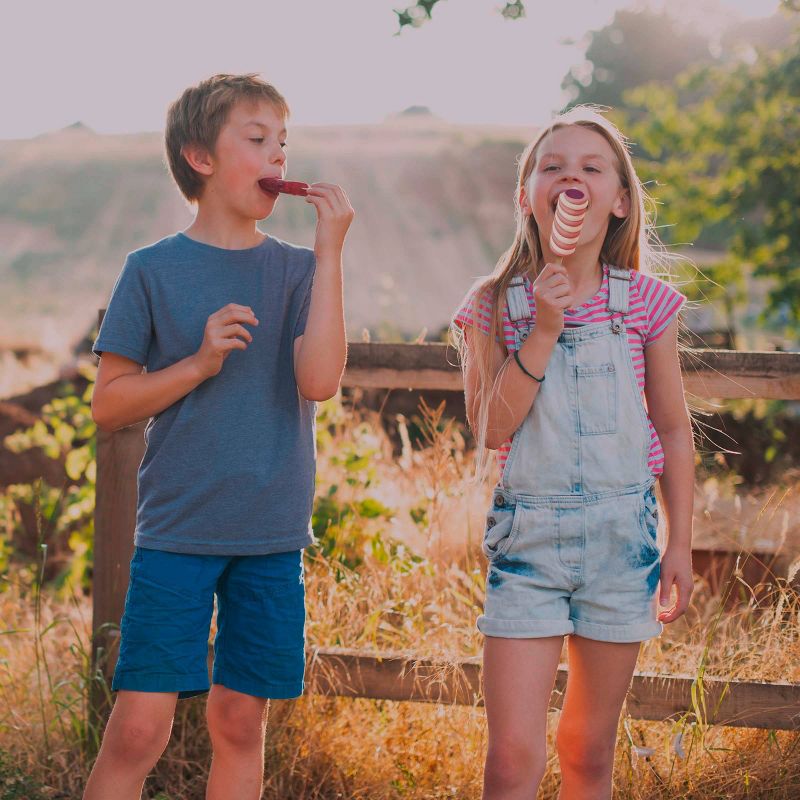 Popsicle Fruit Twister Raspberry Peach & Vanilla - 6ct/16.2oz