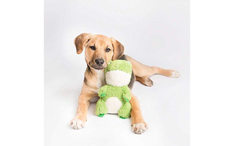 NERF Blitz Squeak Football Dog Toy - Green - 7"