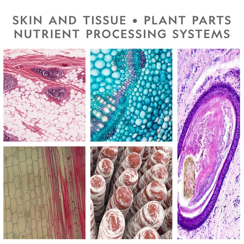 Teacher Created Resources Power Pen Learning Cards, Division, Grades 3 to 5