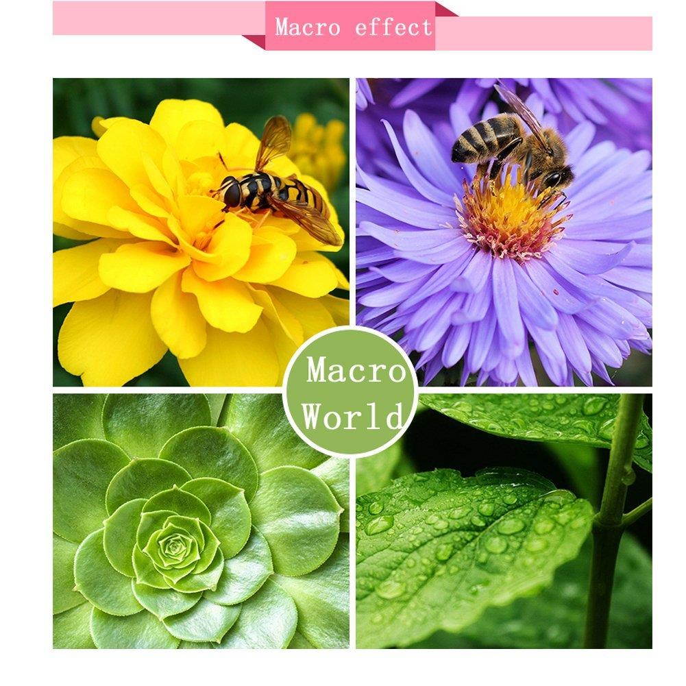 EIGIIS 4 In 1 Cell Phone Lens With Beauty 8 LED Flash Light 205&deg;Fisheye Lens 15X Macro Lens 0.62X Wide Angle Lens For Most Smartphones (Rose Gold)