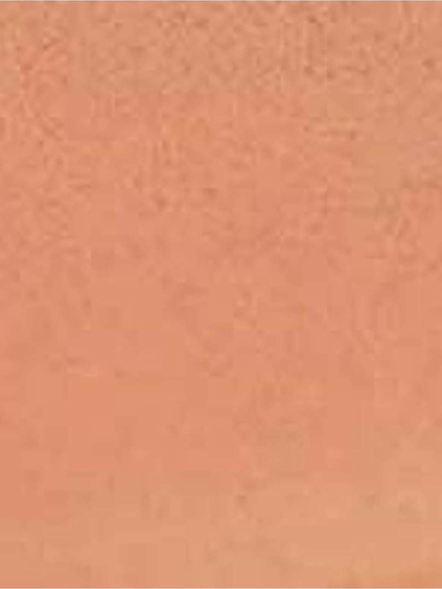 Pure Home and Living Transparent Glass Textured Dinner Plates