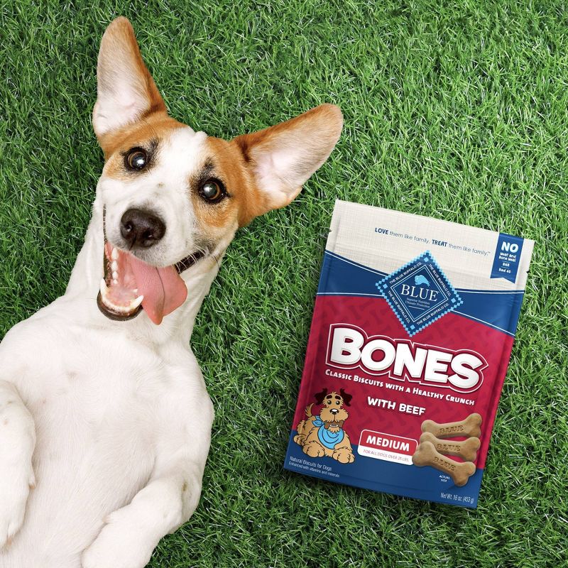 Blue Buffalo Beef Flavored Dog Biscuits Dog Treats - Medium - 16oz