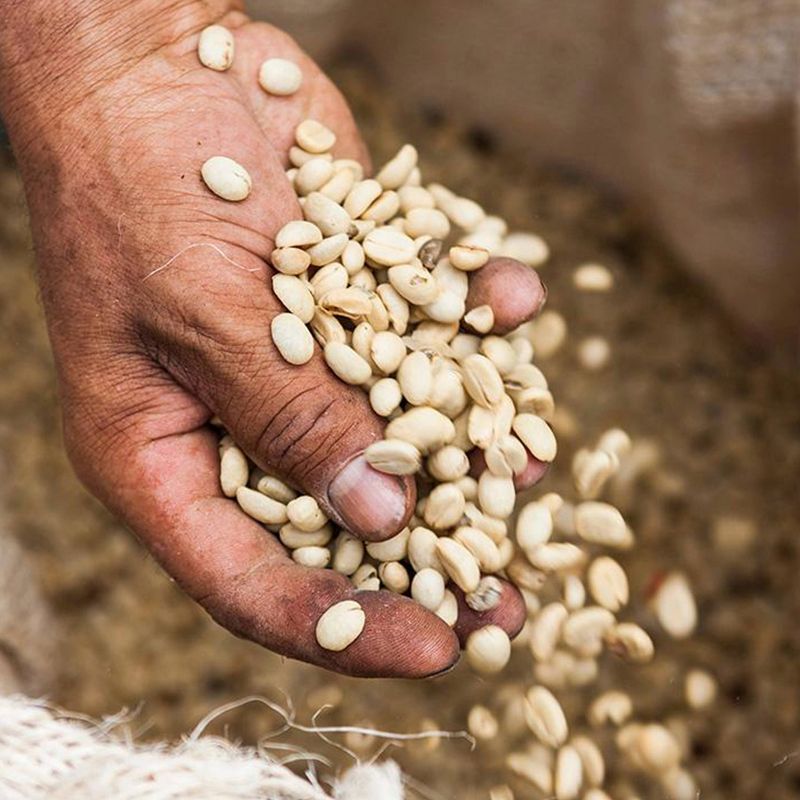 Nescafé Classico Dark Roast Instant Coffee - 10.5oz