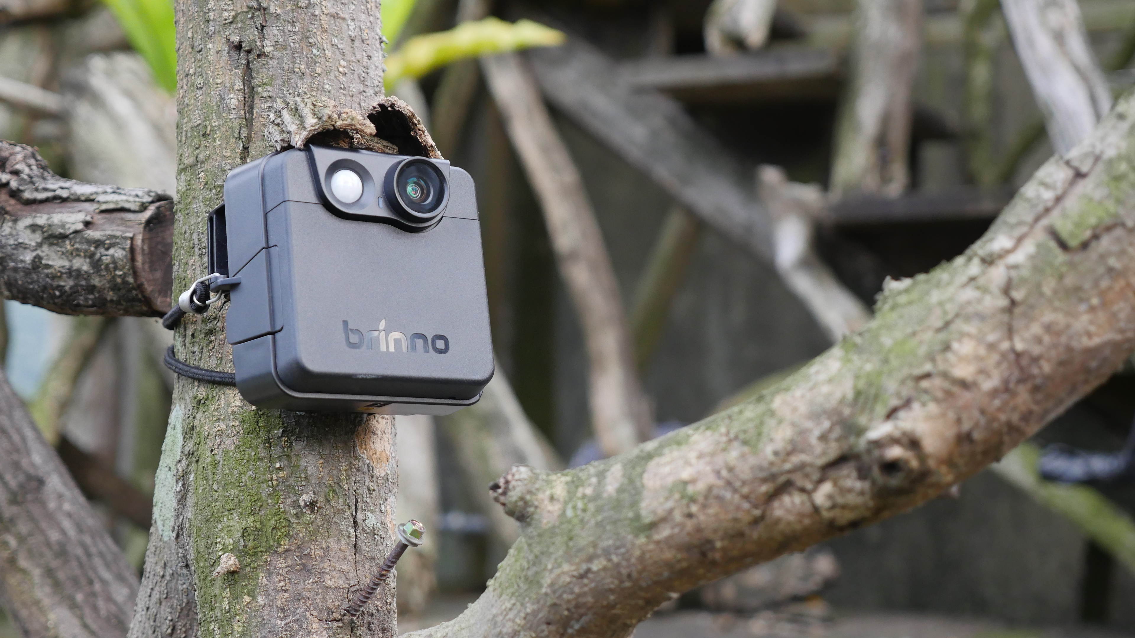 BRINNO MAC200DN OUTDOOR SECURITY CAMERA - MOST AFFORDABLE AND EASY TO USE SURVEILLANCE CAMERA - UP TO 12 MONTHS OF BATTERY LIFE - MOTION ACTIVATED