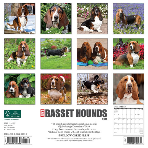 2021 Basset Hounds Wall