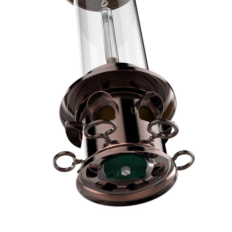 Droll Yankees Oil Rubbed Squirrel X Proof Bird Feeder - Bronze
