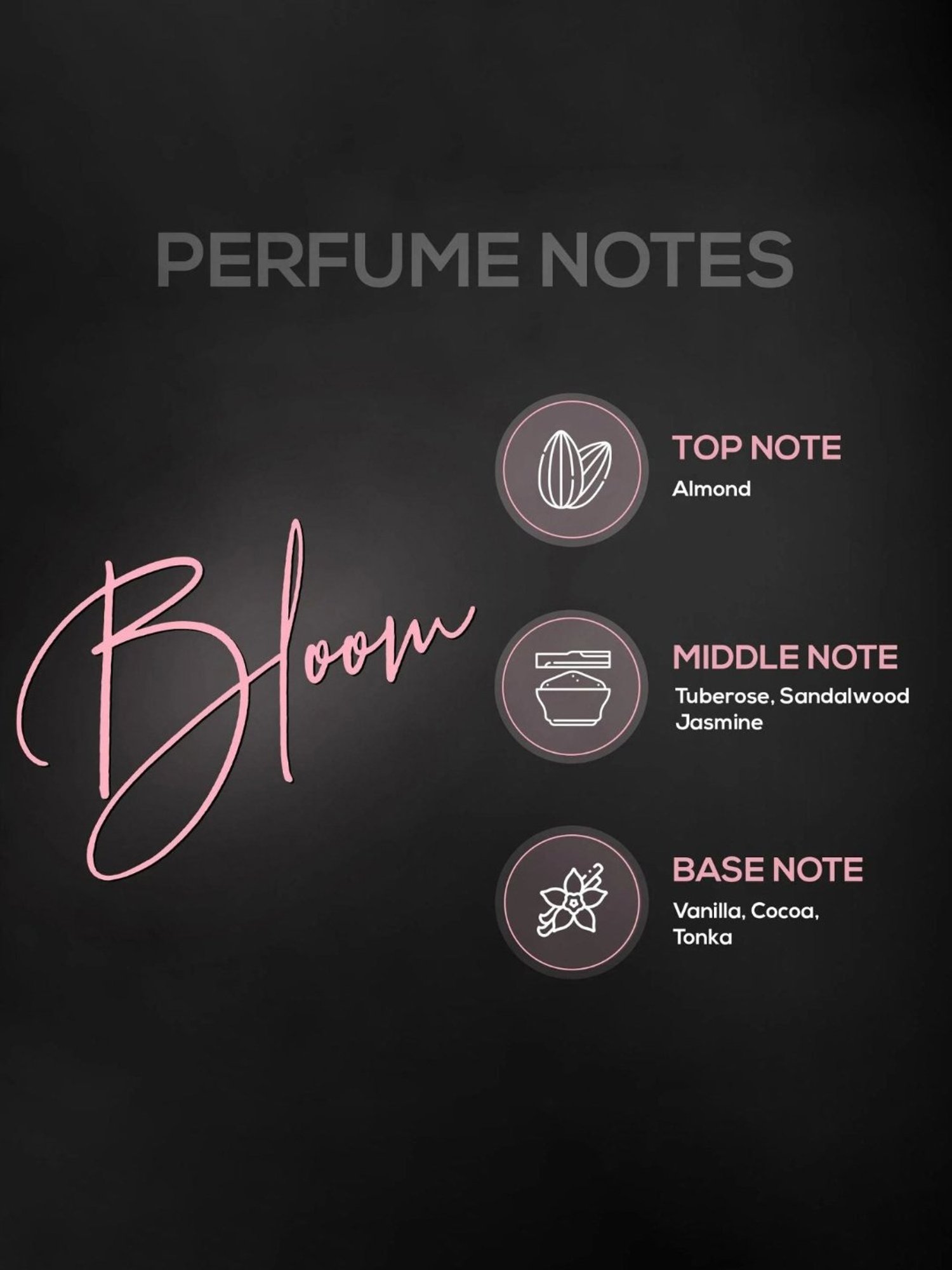 RENEE Bloom, Oud Aspire & Dark Desire Eau de Parfum Combo (50 ml x 3)