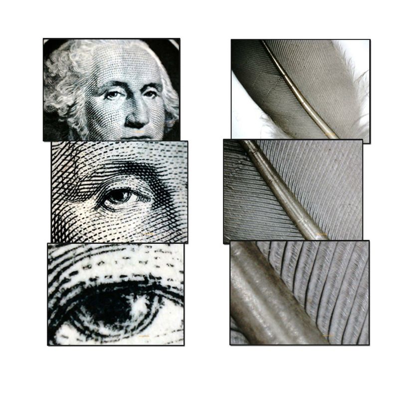 Cassini C-3DM 5MP LCD Digital Microscope - Black