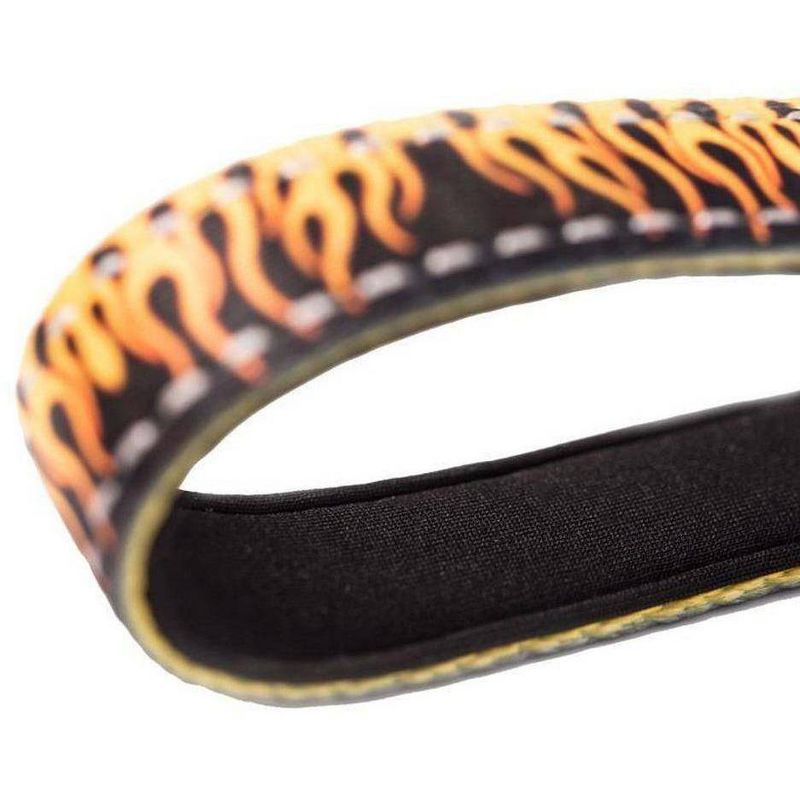 Fresh Pawz Flame Thrower Dog Leash - 5ft