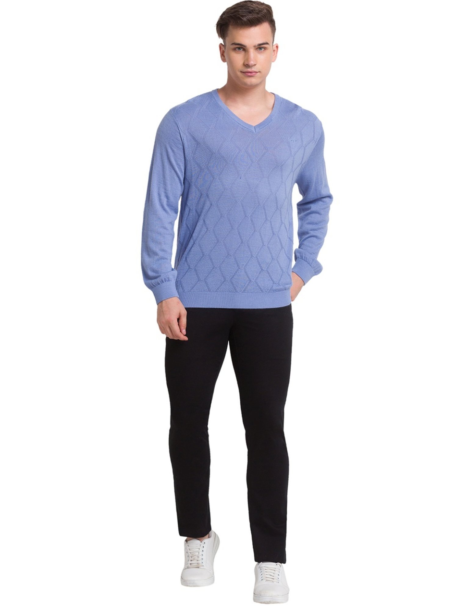 ColorPlus Blue Tailored Fit Self Pattern Sweater