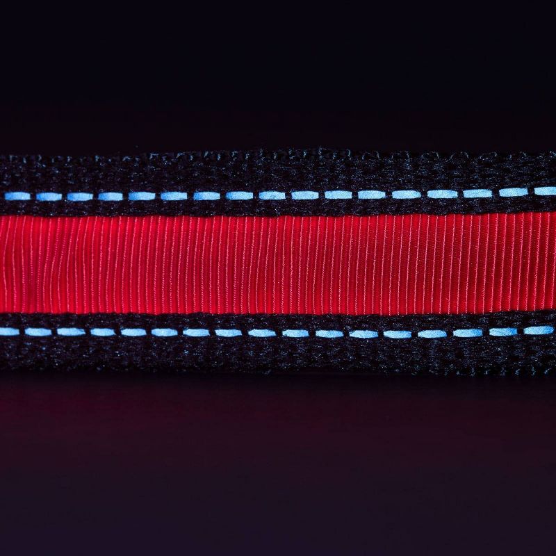 Life+Gear Rechargeable Glow Dog Collar - L