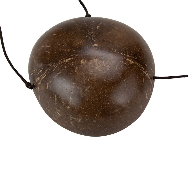 Chauvet DJ B-250 Portable Pro Effect Party Bubble Machine + Equipment Carry Bag