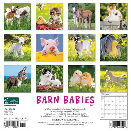 2021 Barn Babies Wall