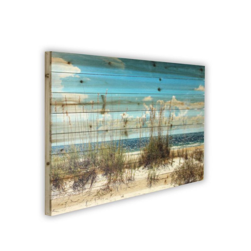 24" x 36" Sand Dunes Print on Planked Wood Wall Sign Panel Blue - Gallery 57