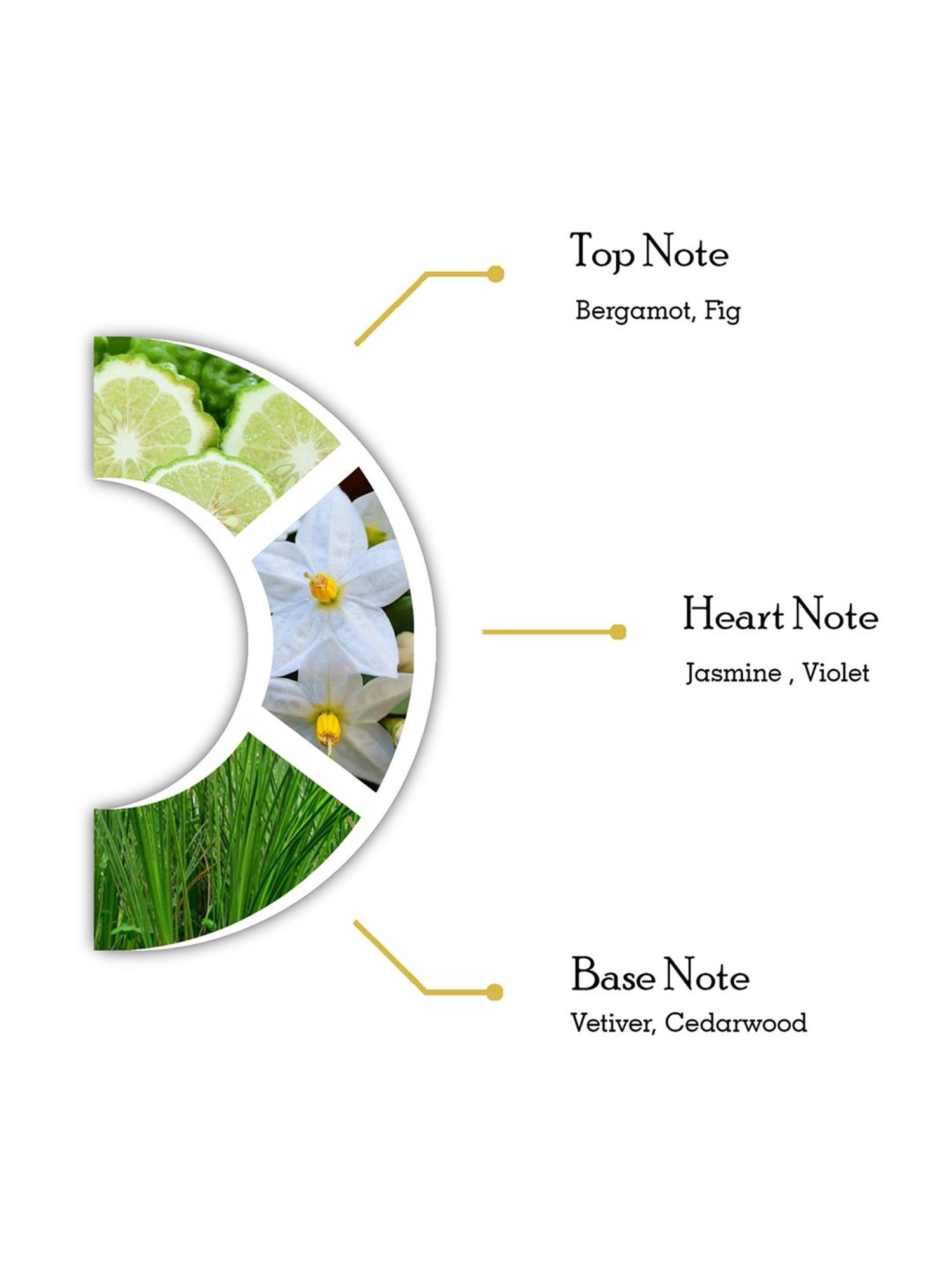 Dorall Collection DC One Gold Eau de Toilette Spray - 100 ml