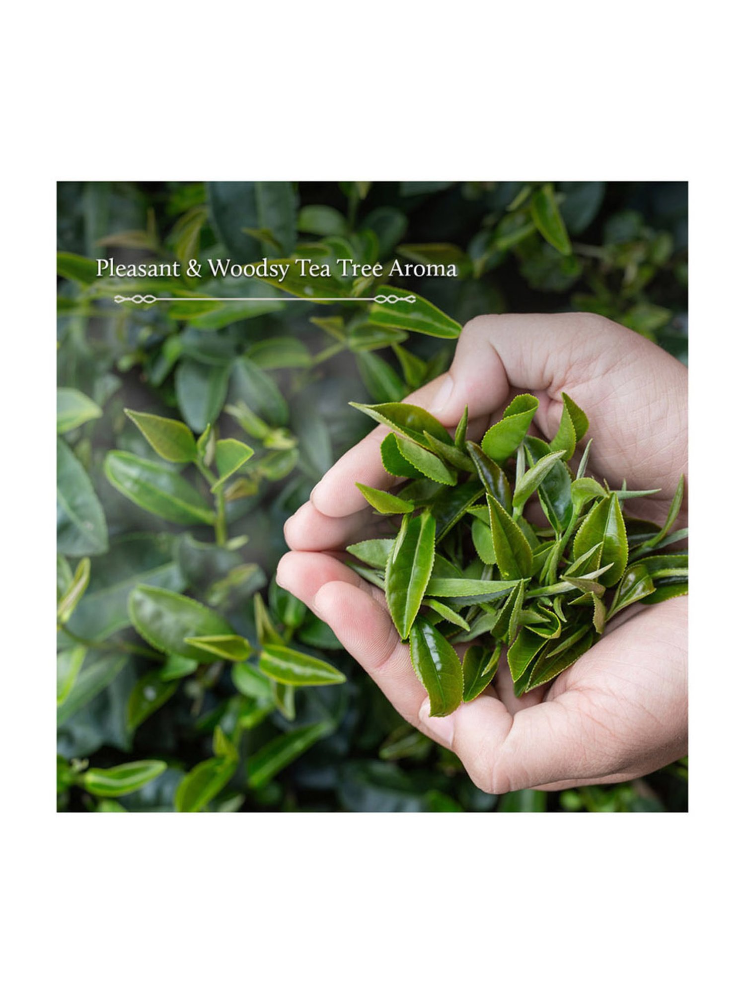 Blue Nectar Ayurvedic Triphaladi Anti Cellulite and Slimming Oil - 100 ml