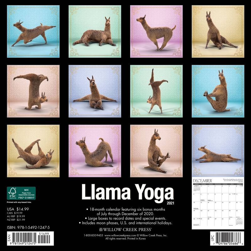 2021 Monthly Wall Calendar Llama Yoga - Willow Creek Press