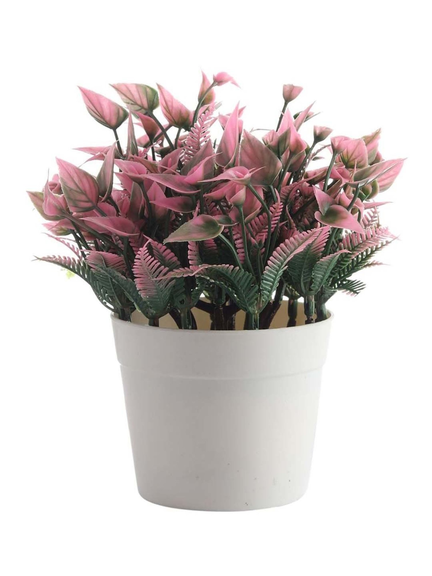 Foliyaj Multicolor Plastic Artificial Plant - Set of 2