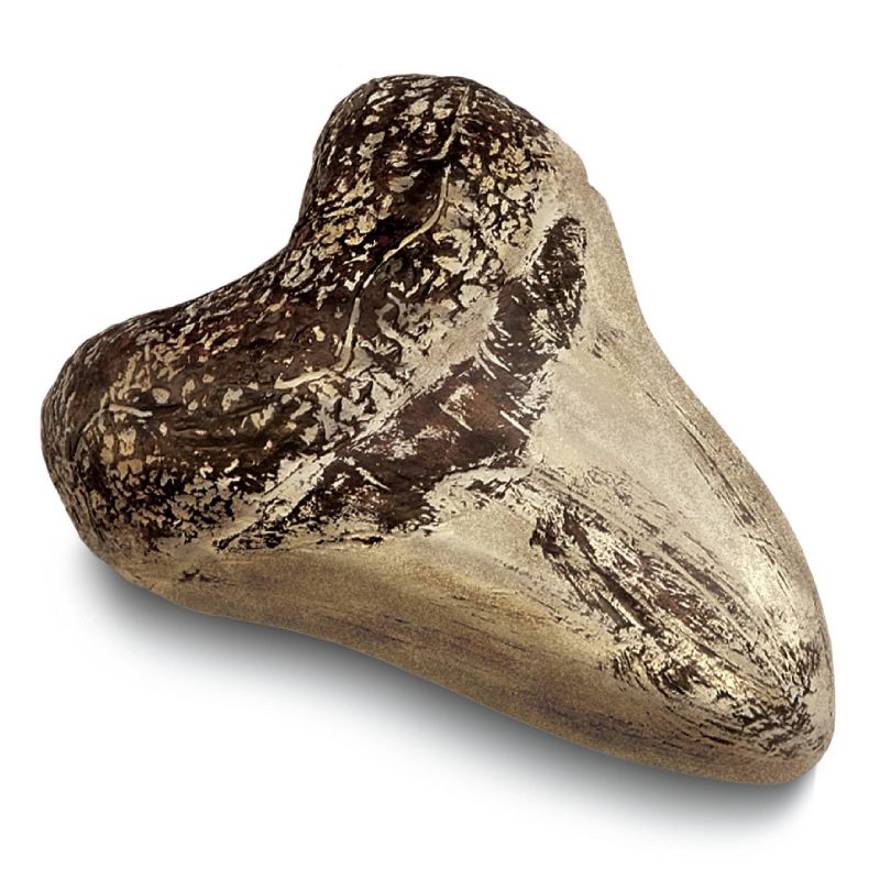 Discovery Kids Toy Excavation Science Kit Mini Shark Tooth 2pc