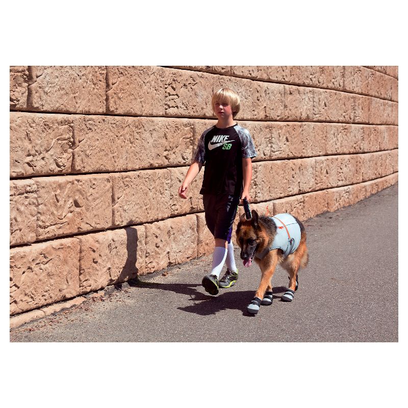 Royal Animals Dog Raincoat - Yellow - S