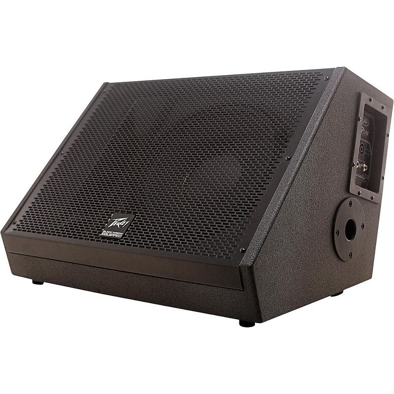 Peavey SP 12M MkII 12" Two-Way Floor Monitor