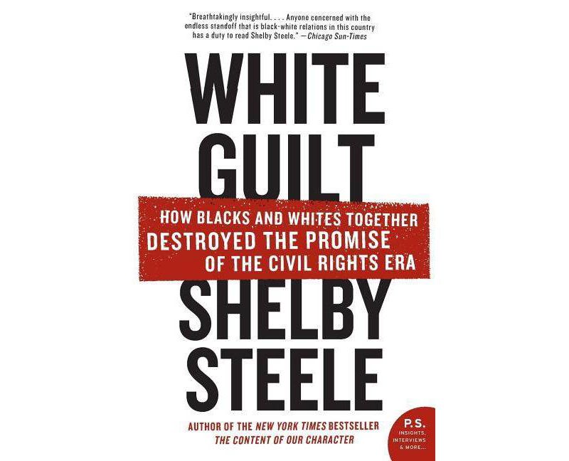 Whistling Vivaldi - (Issues of Our Time) by  Claude M Steele (Paperback)