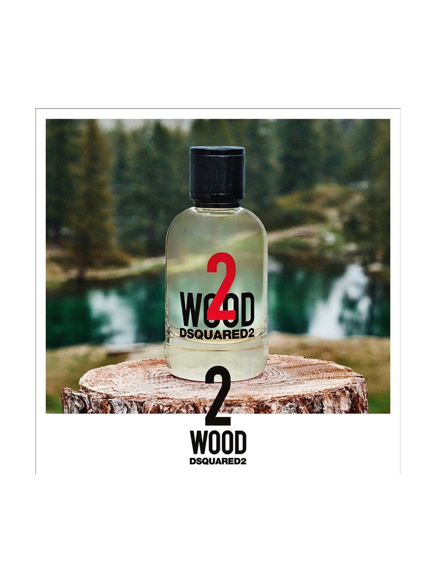 Dsquared2 2 Wood EDT 50 ml