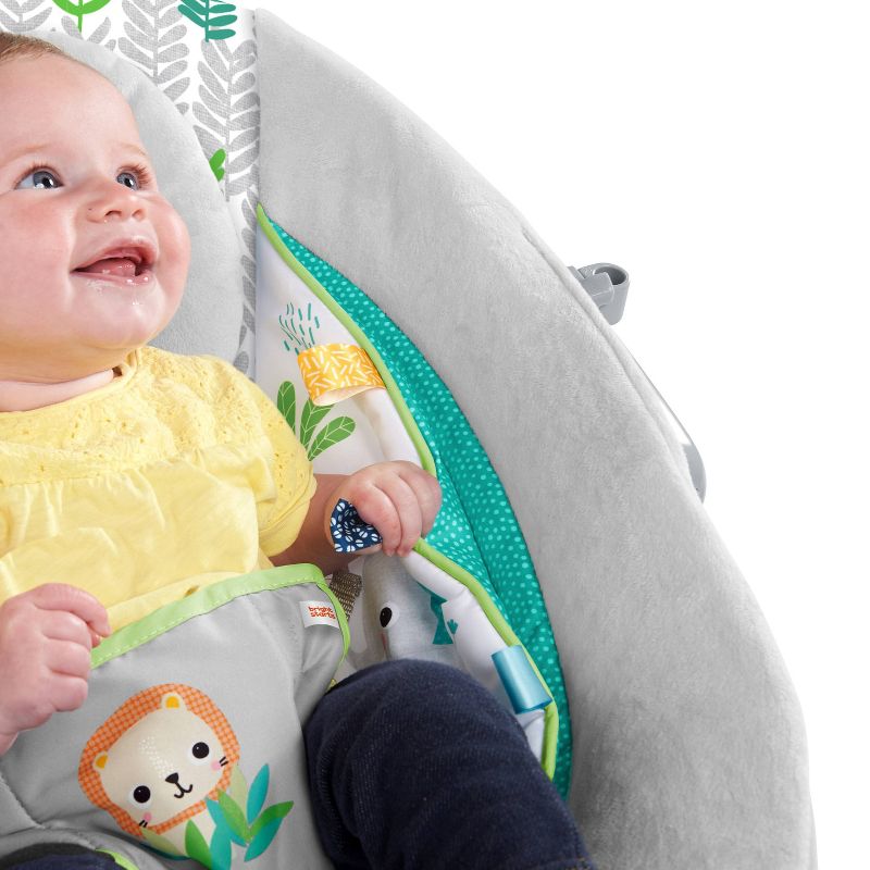 ​Fisher-Price Baby Bouncer