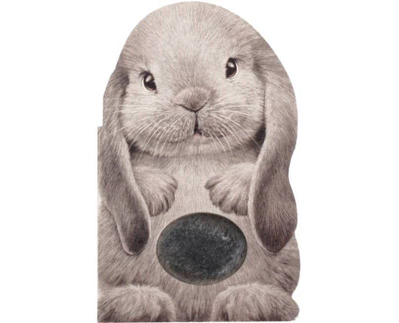 Furry Bunny - by Annie Auerbach (Board Book)