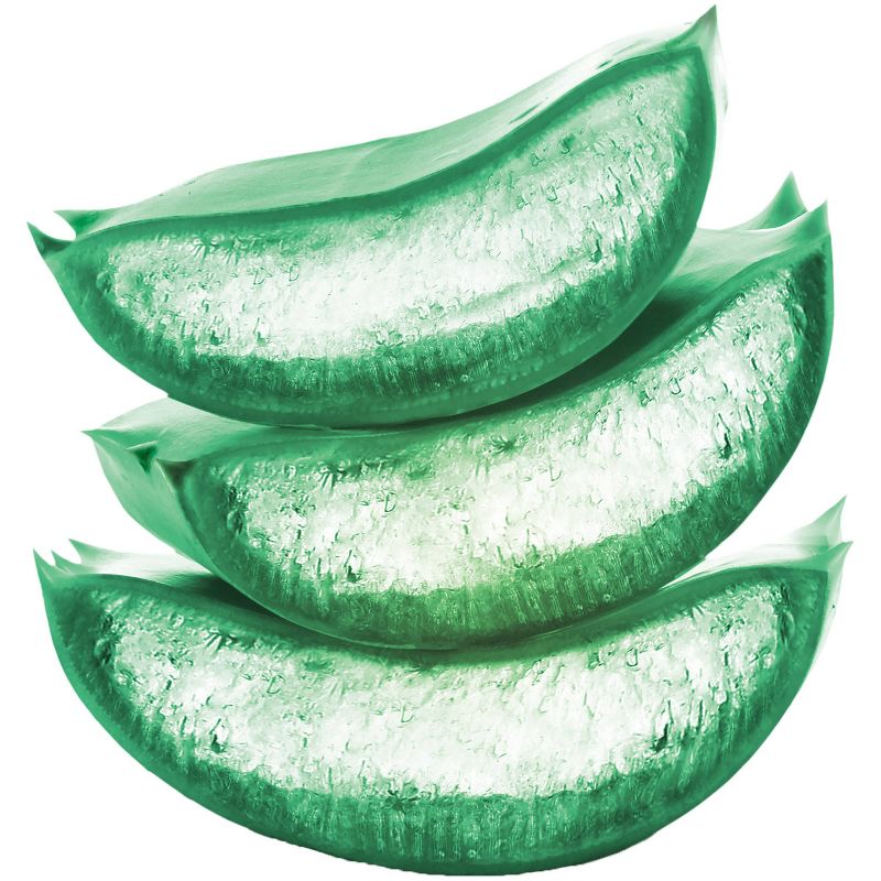 Garnier Fructis Pure Clean Aloe Extract Fortifying Shampoo - 33.8 fl oz